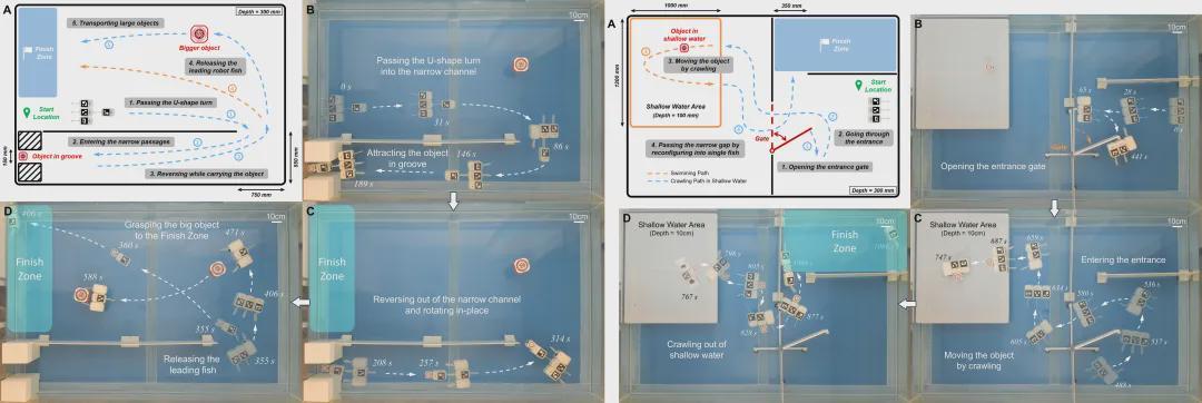  北京大学谢广明教授团队最新《Science Advances》研究成果：能“装”会“拼”的机器鱼，拓展水下机器人能力的新边界(图4)