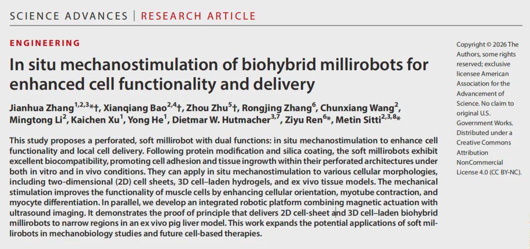 细胞快递员兼私人教练？浙大等团队打造会健身的生物混合软体微型机器人(图1)