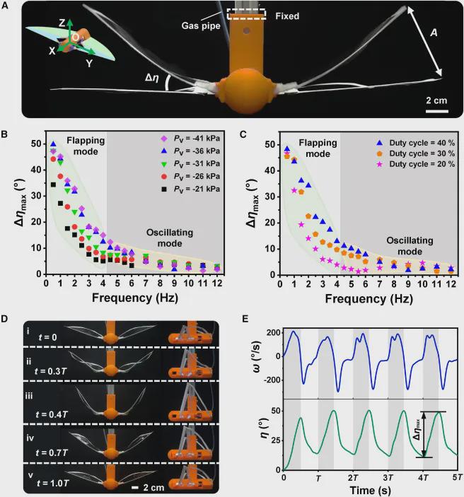 打破复杂水域探测困境！浙大仿生机器鱼登CELL子刊，双游动模式展现卓越环境适应性，负重54倍稳定前行(图5)