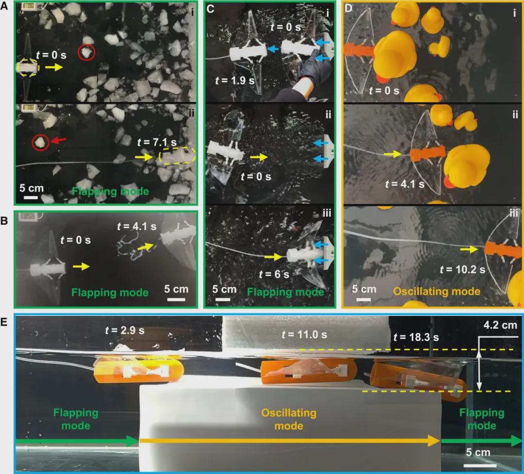 打破复杂水域探测困境！浙大仿生机器鱼登CELL子刊，双游动模式展现卓越环境适应性，负重54倍稳定前行(图10)