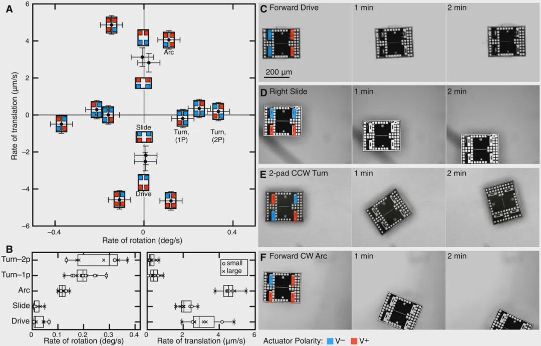 破壁微米！首个细胞级尺寸、会思考的机器人诞生| Science Robotics(图3)