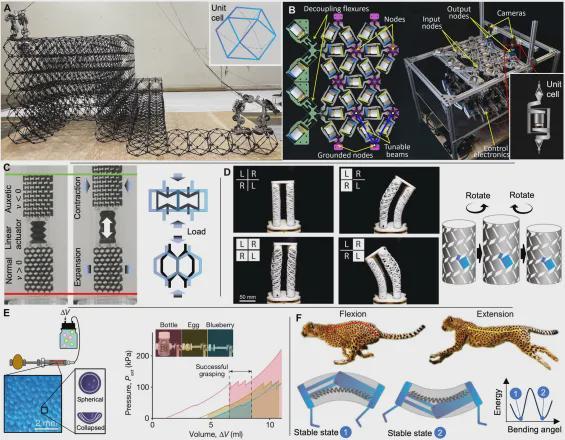 绕过大脑思考，超材料机赋予机器人身体本能！ | Science Robotics(图4)