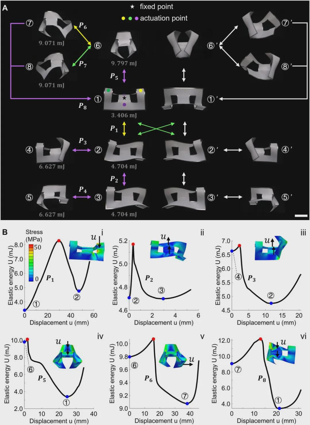 《Sci.Adv.》收录，北卡州立大学提出多稳态元结构实现突破：单一薄膜单元呈现二十种稳态，机器人变形效率倍增(图4)