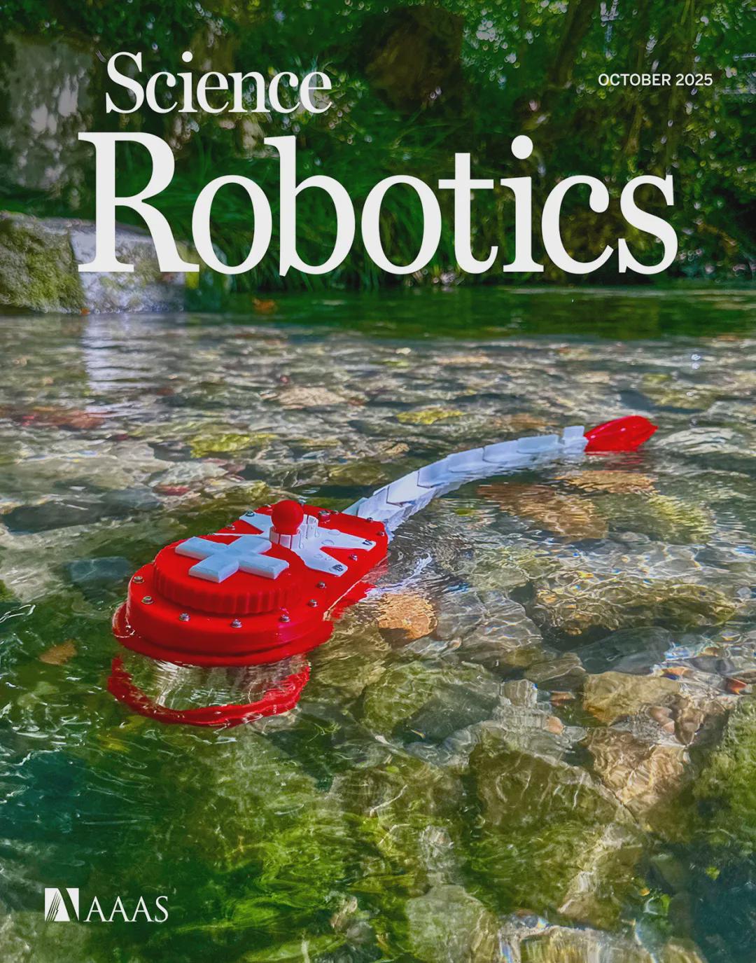 Sci.Rob.最新封面！EPFL造出复现斑马鱼视动反应的仿生机器鱼(图1)