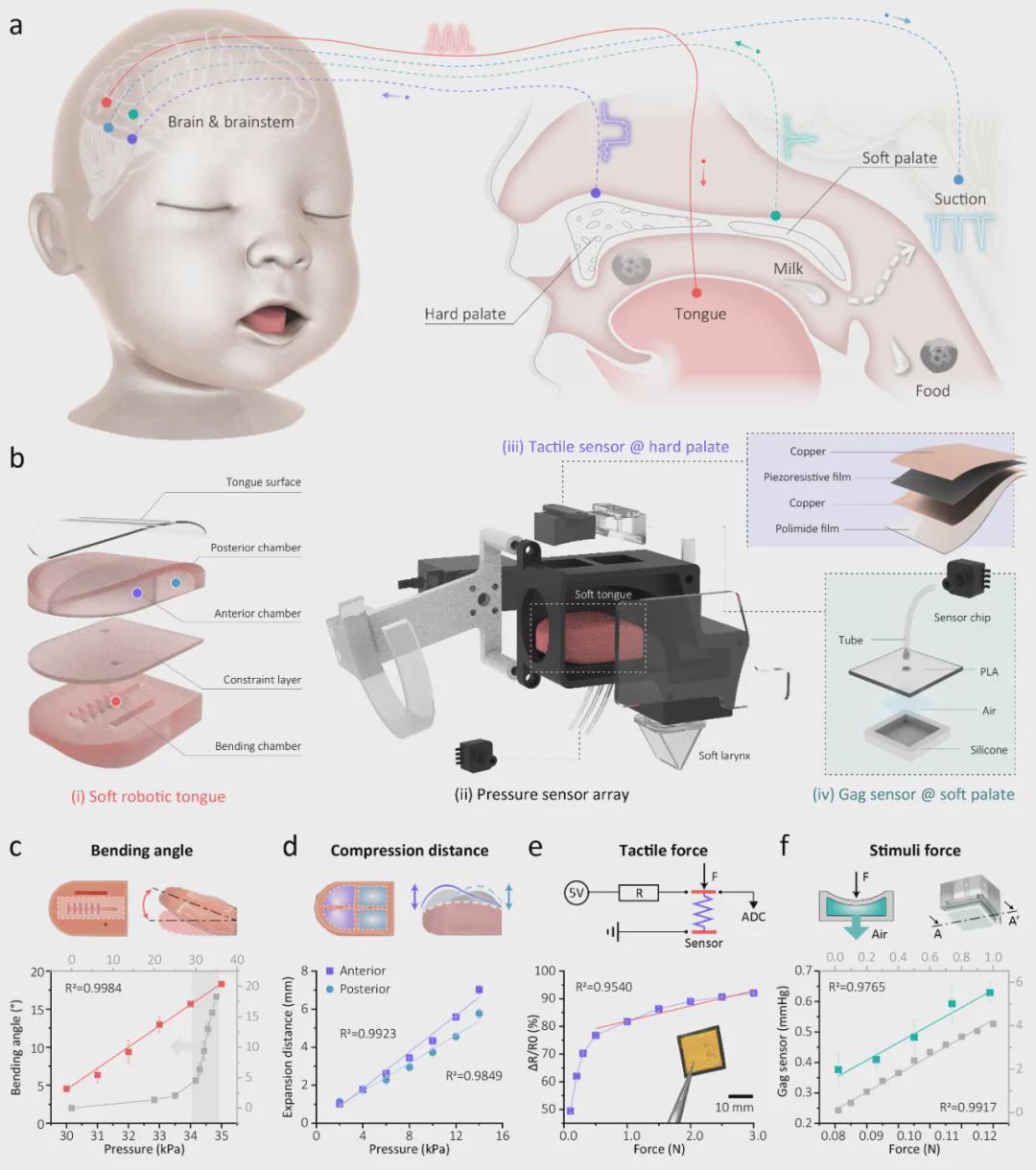重大突破！会吸奶、呕吐、成长的婴儿机器人，正在改变儿科医学 | npj Robotics发表(图2)