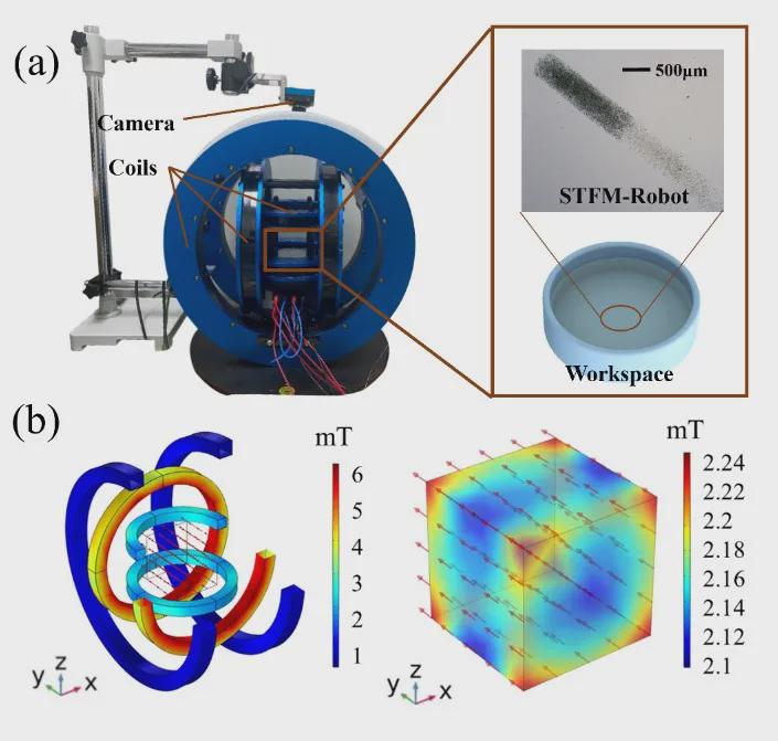 受海洋蛞蝓启发的微型“变形金刚”？北理工团队TRO发表双稳态软体微机器人，实现复杂狭缝地形自由穿梭！(图5)