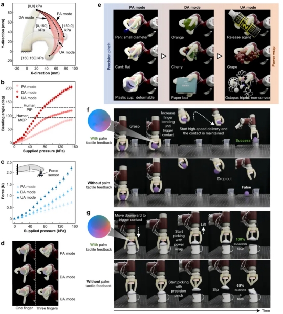 上交大Nature子刊重磅：视触觉掌指协调的软体机器人手！(图5)