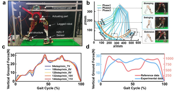  摆脱关节电机依赖！长春工业大学研究团队提出新型仿生腿式机器人，实现无电机膝关节切换！(图5)