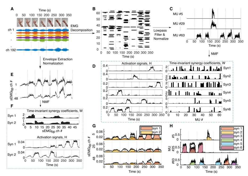  ​Science Robotics新成果 | 多国团队联合打造自然仿生假肢接口(图4)