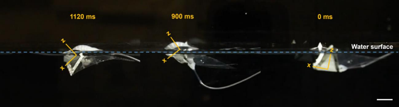 Science Advances发表！北卡罗来纳州立大学×弗吉尼亚大学推出单稳态扑翼软体游泳机器人，实现高速多模态水面水下机动！(图12)