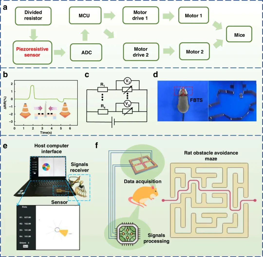  ​中北大学电子测试与测量技术重点实验室打造柔性仿生触须传感器(图6)
