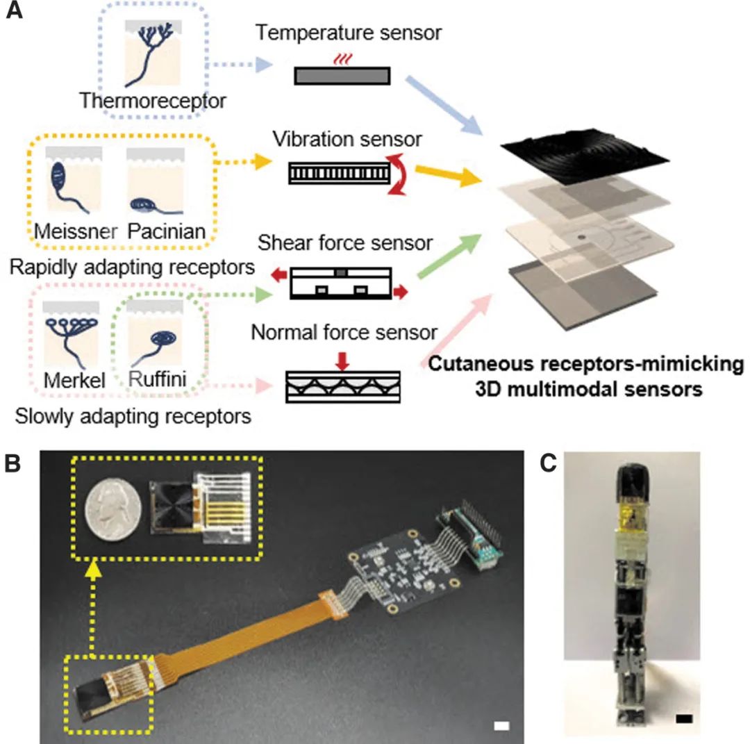 如何让机器人具备实时、多模态的触觉感知能力？(图2)