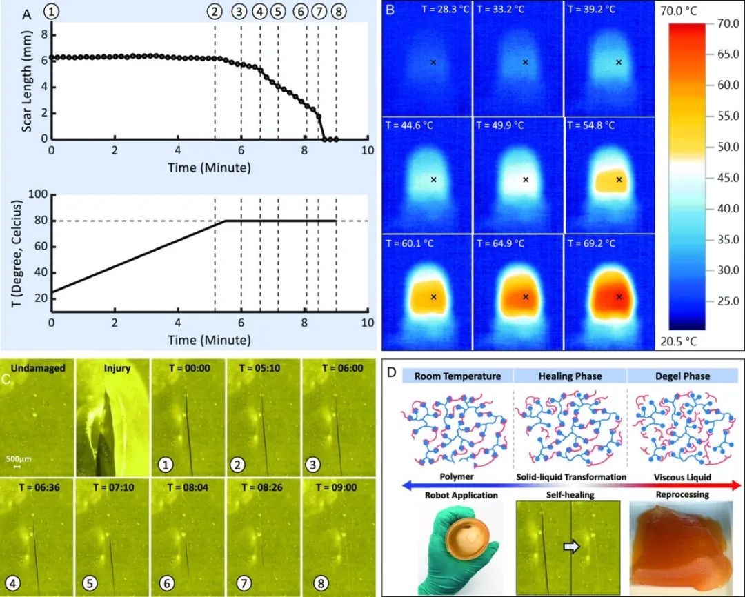突破传统软体机器人痛点！剑桥大学超强“自愈合抓手”问世，还能回收利用 ！(图19)
