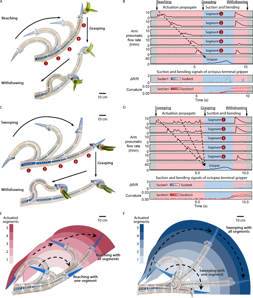重磅！北航团队Science Robotics软体连续体机器人的感知及环境交互取得新进展(图11)