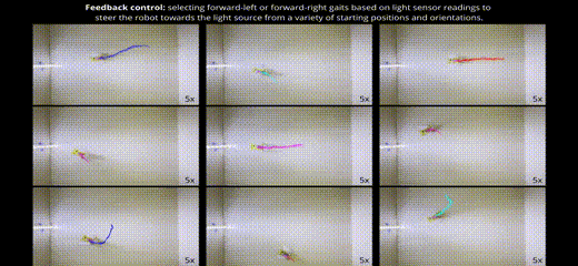 ​四足机器人也走“极简风”？一个马达和电路板就能实现多种复杂功能！(图14)