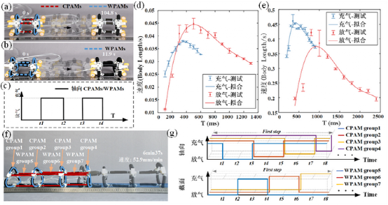 哈工大柔性机器人登《Soft Robotics》，基于人工肌肉的可堆叠‘多面手’！(图4)