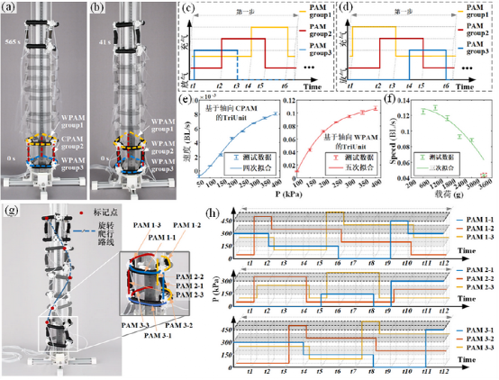 哈工大柔性机器人登《Soft Robotics》，基于人工肌肉的可堆叠‘多面手’！(图6)