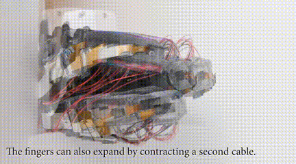 机械手超越人类触感？MIT最新研究让机械手只需轻轻一抓就能识别物体！(图5)