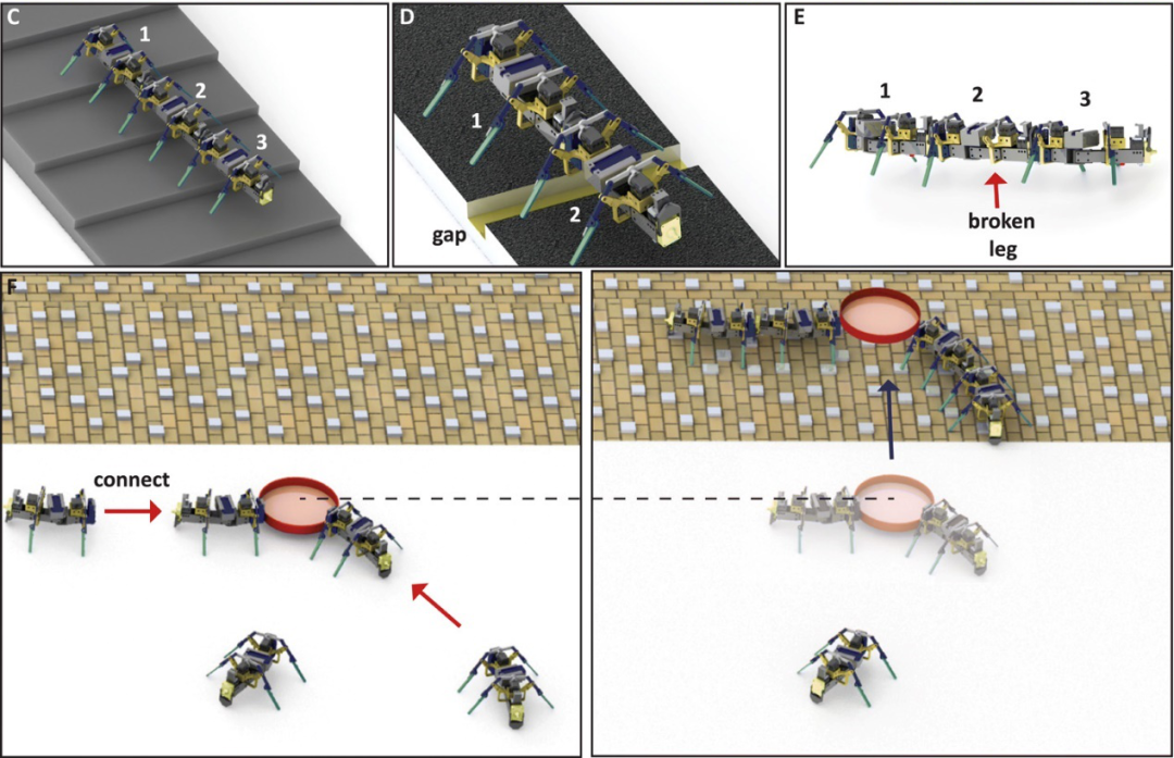 受积木启发，英国诺丁汉大学研发由介电驱动单元驱动的软体机器人(图1)