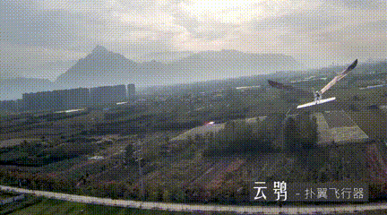 仿生扑翼飞行器大突破！一个关节零件解决飞行稳定，将来无人机新方向？(图9)